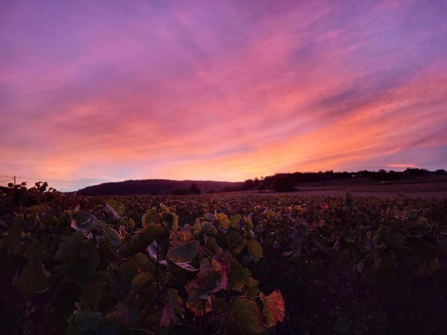 Le Clos Du Botaniste Pouilly-le-Monial Kültér fotó